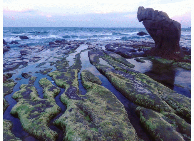 Bãi đá 7 màu duy nhất ở Việt Nam đẹp lung linh trên mạng và sự thật amp;#34;ngã ngửaamp;#34;! - 23