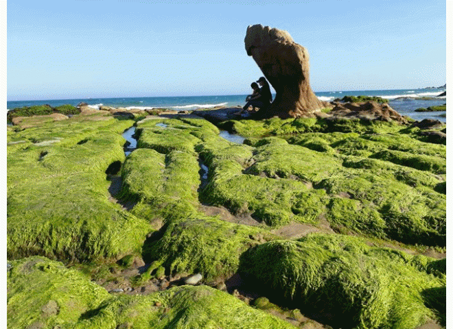 Bãi đá 7 màu duy nhất ở Việt Nam đẹp lung linh trên mạng và sự thật amp;#34;ngã ngửaamp;#34;! - 25