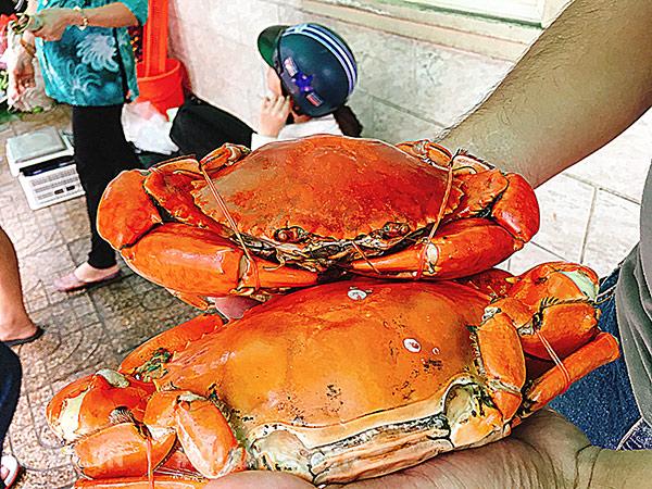 Choáng váng cảnh chen lấn giành giật mua amp;#34;mâm cua dì Baamp;#34; ở Sài Gòn, 10 phút bán 30kg - 12