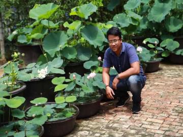 9X xứ Quảng hé lộ tuyệt chiêu độc, chỉ trồng sen một tháng đã bắt trổ bông rực rỡ
