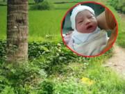 Tin tức - Bé trai sơ sinh còn nguyên dây rốn bị bỏ ở bãi rác sống sót kỳ lạ