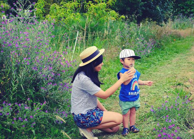 Mẹ Việt ở Pháp lên báo dày đặc vì làm món ăn cho con đẹp tới mức không nỡ ăn - 2