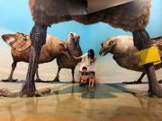 Xem ăn chơi - 5 điểm du lịch lý tưởng cho gia đình Sài Gòn có con nhỏ dịp lễ 2/9