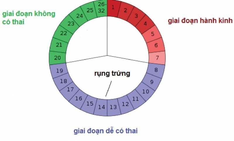 ngay rung trung la ngay nao? - 7