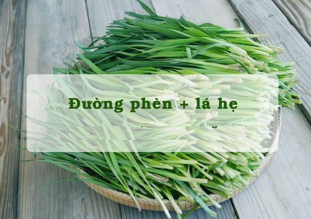 Cách trị ho cho trẻ sơ sinh không cần dùng thuốc - 3