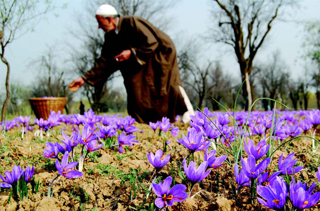 Top 5 loại sản phẩm organic được yêu thích nhất hiện nay - 2