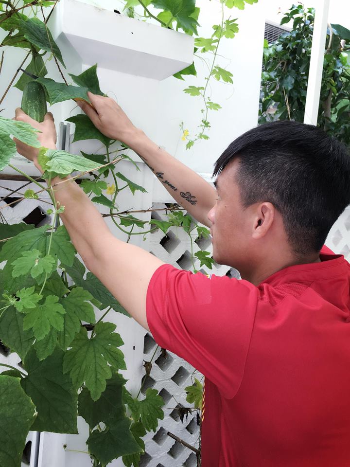 Không chỉ từ thiện khắp nơi, Thủy Tiên còn nổi tiếng amp;#34;thảo ănamp;#34;, trồng rau được cho hết - 17