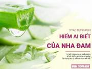 Làm đẹp - 3 tác dụng phụ của nha đam: Đừng để "thánh dược" thành lợi bất cập hại