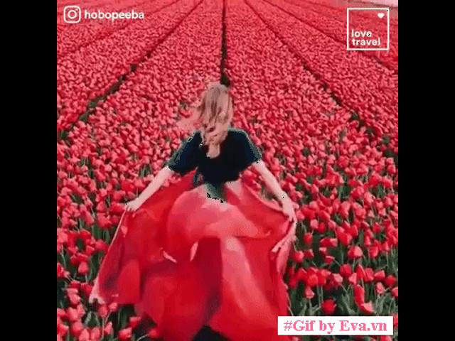 Mê mệt xứ sở muôn hoa nhưng bạn đã biết đến địa điểm nào mới có hoa đẹp nhất?