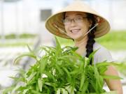 Tin tức - Trồng rau sạch, người phụ nữ miền Tây khởi nghiệp ở tuổi đáng lẽ có thể được về hưu