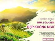 Clip Eva - 4 điểm du lịch Tây Bắc mùa lúa chín "mê hồn" khách ghé thăm