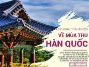 Clip Eva - 4 trải nghiệm khiến bạn không thể bỏ qua khi du lịch Hàn Quốc trong dịp mùa thu này