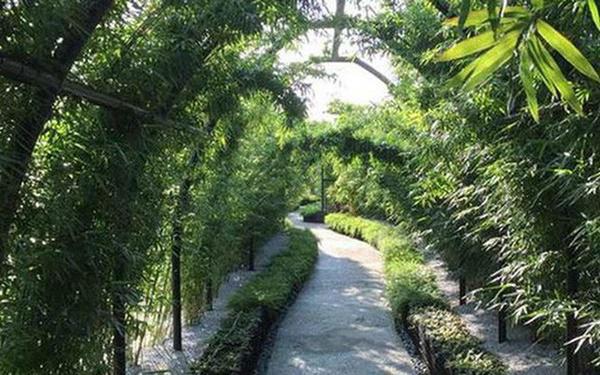 can canh van phong noi tieng dep "nhu mo", qua 10 lan thi tuyen moi vao duoc - 10