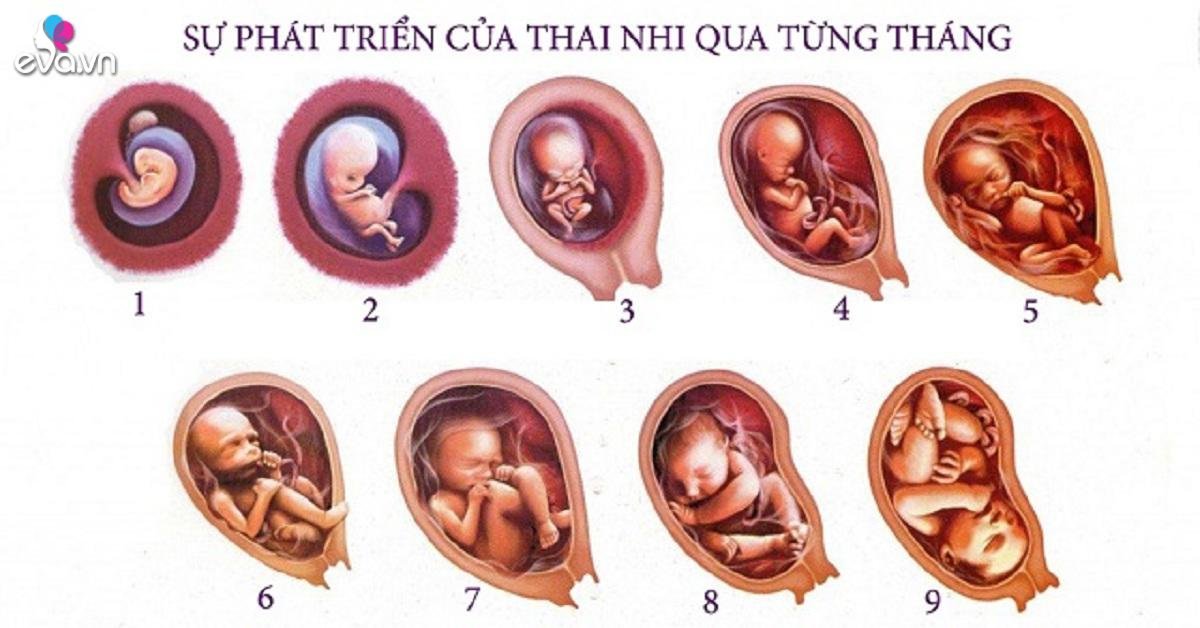 Hỗ trợ tâm lý và tinh thần cho phụ nữ mang thai