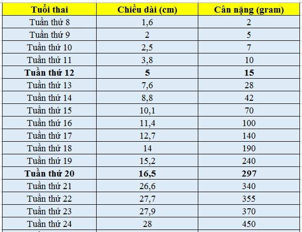 Lưu Ý Cho Mẹ Bầu Tuần 37