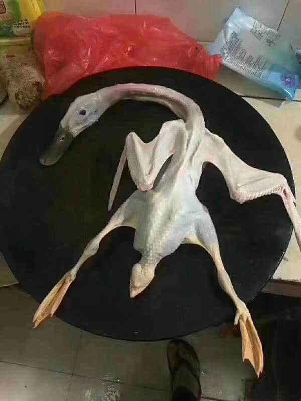 Thiếu nữ than mua nhầm vịt amp;#34;cô hồnamp;#34;, dân mạng bóc mẽ cái thớt bất thường - 1