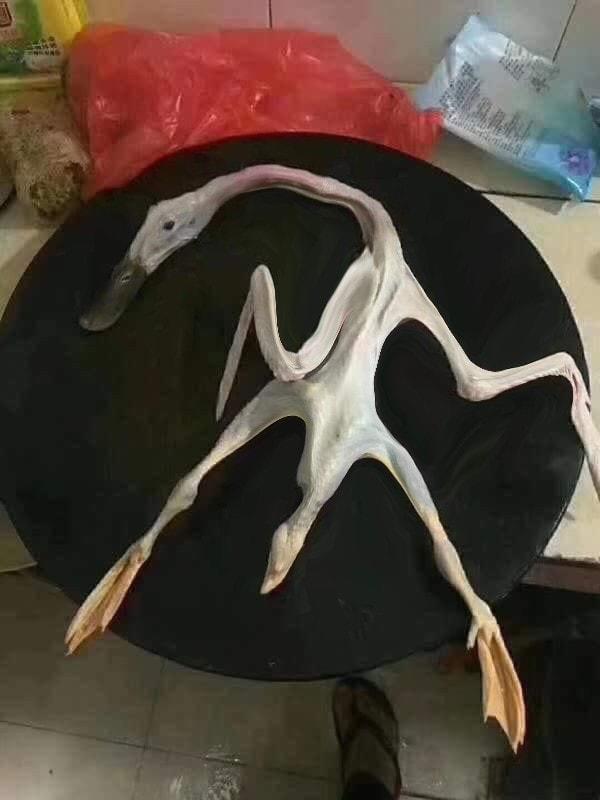 Thiếu nữ than mua nhầm vịt amp;#34;cô hồnamp;#34;, dân mạng bóc mẽ cái thớt bất thường - 5