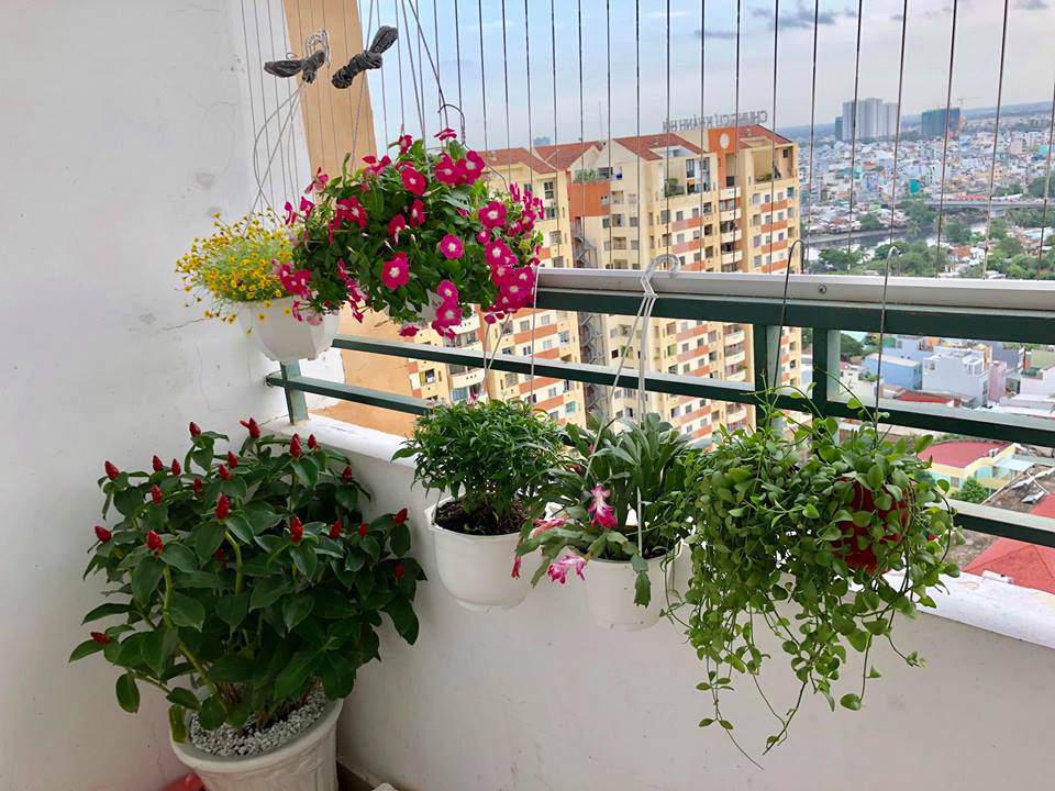Cận cảnh chốn đi về giản dị, nhỏ nhắn của Á hậu từng mang chỉ 3 chiếc váy đi thi - 7
