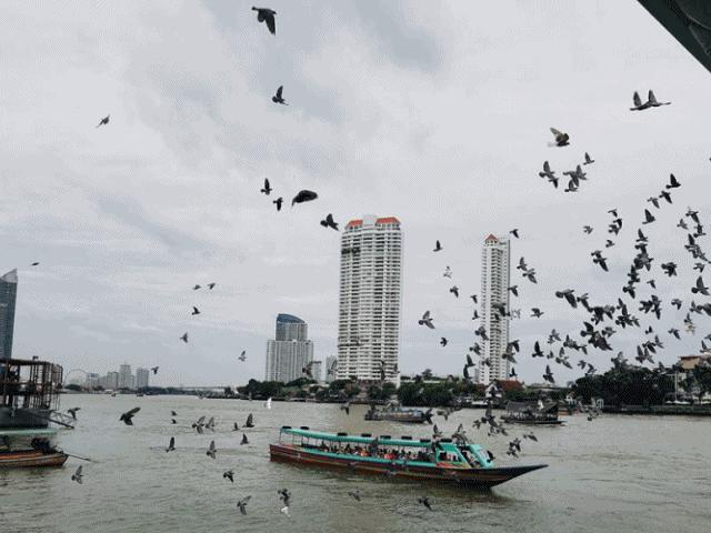 Khám phá trọn bộ kinh nghiệm du lịch Bangkok Thái Lan