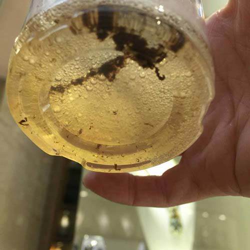 Cao răng, mảng bám, ố vàng sạch bách với 4 cách làm trắng răng từ 1 quả chanh - 7