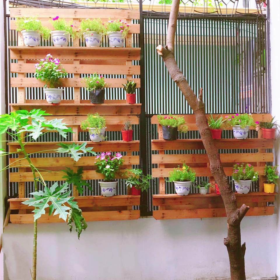 ban toi ngay, elly tran van chiu kho lam... nong dan trong rau sach, qua sai triu tren san thuong - 13