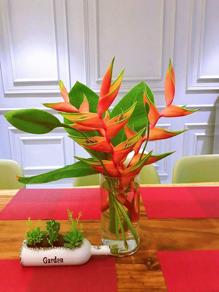 ban toi ngay, elly tran van chiu kho lam... nong dan trong rau sach, qua sai triu tren san thuong - 7