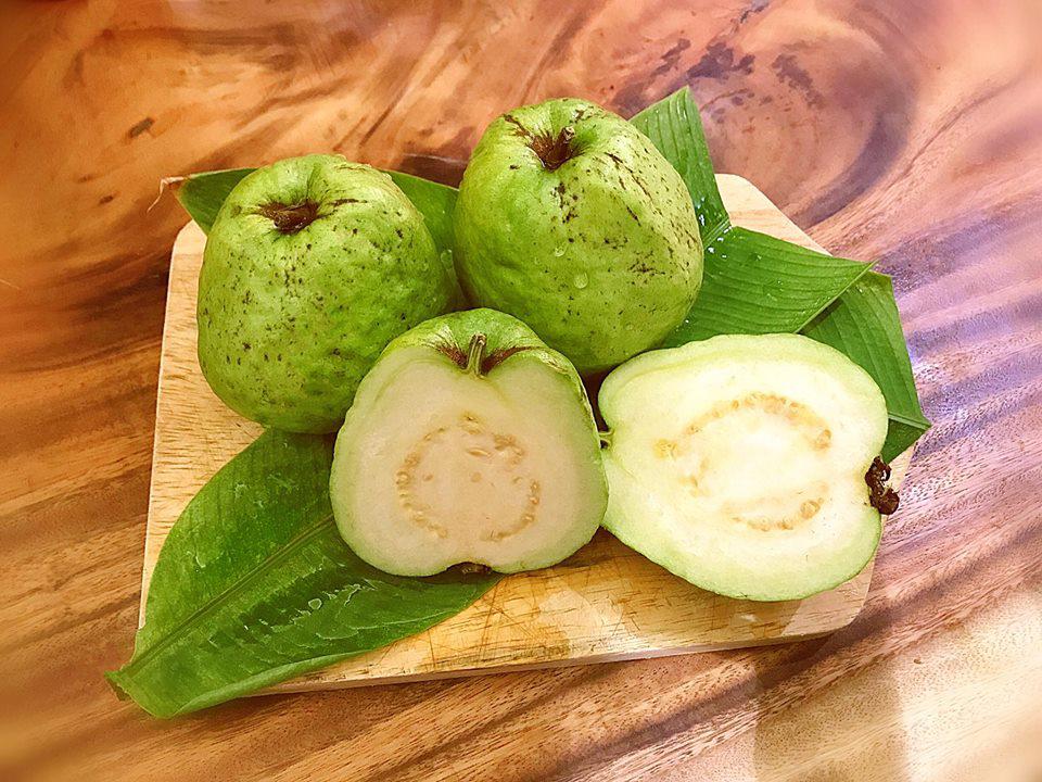 ban toi ngay, elly tran van chiu kho lam... nong dan trong rau sach, qua sai triu tren san thuong - 9