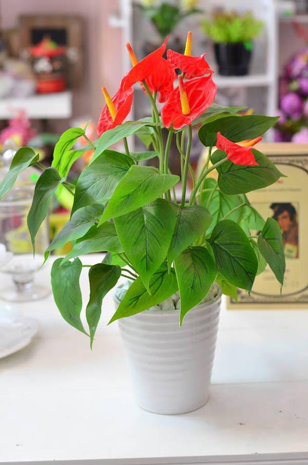 9 cay hut song, buc xa cuc tot nen trong ngay vi nha nao cung dung nhieu dien thoai, tv - 8