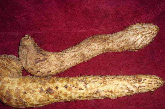 he lo 5 “buu boi” trong khue phong cua phu nu trung hoa co dai - 4