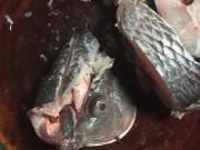 Bếp Eva - Sai chồng đi mổ cá, 5 phút quay lại vợ "suýt ngất" vì đầu cá "ai oán"