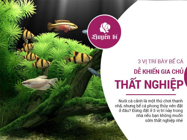 3 vị trí để bể cá cảnh trong nhà khiến gia chủ khó thăng quan tiến chức