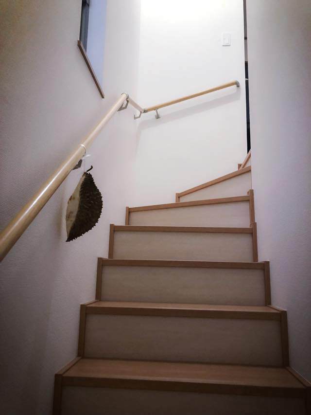 Giận chồng, vợ dùng chiêu độc từ loại quả không ngờ để amp;#34;trả thùamp;#34; khiến dân mạng cười ngất - 6