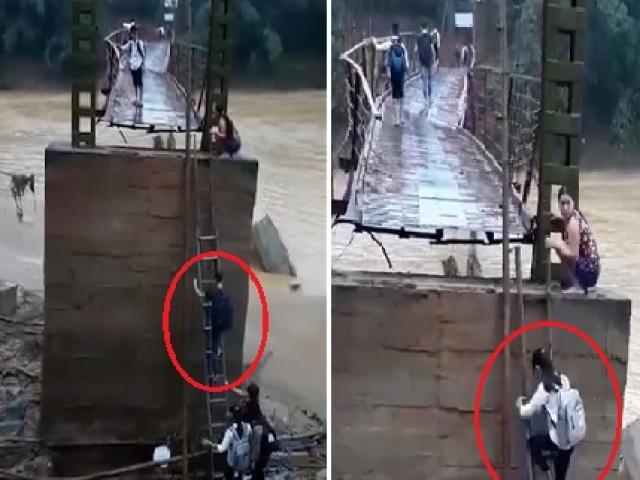 Học sinh Phú Thọ leo thang tre lên cây cầu sắp gãy để đi học