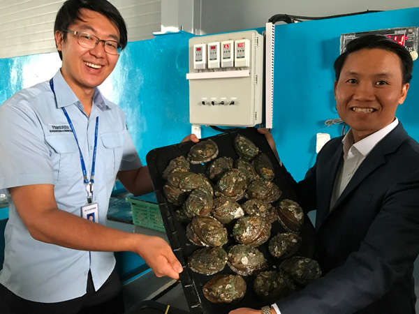 bao ngu tuoi song han quoc thang tien vao bep ba noi tro viet - 4