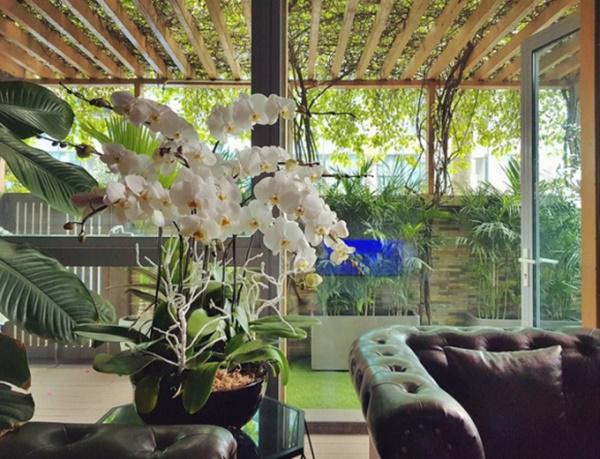 Bất ngờ với căn hộ xa hoa như cung điện ở 2 miền của nam ca sĩ Nathan Lee - 6