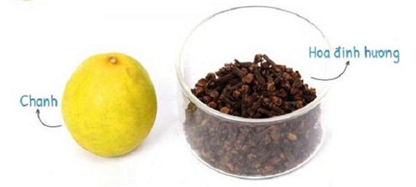 Bỏ 2 nghìn mua chanh, mẹ trẻ mừng húm khi thấy kiến, gián... lũ lượt kéo nhau ra khỏi nhà - 5