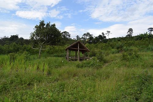 Manh mối “vạch mặt” kẻ bóp cổ người yêu có bầu, treo lên cây vì đòi cưới - 2