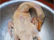 Bếp Eva - Mẹ sai đi vặt lông vịt, con gái làm xong khiến cả cộng đồng mạng phải nổi da gà