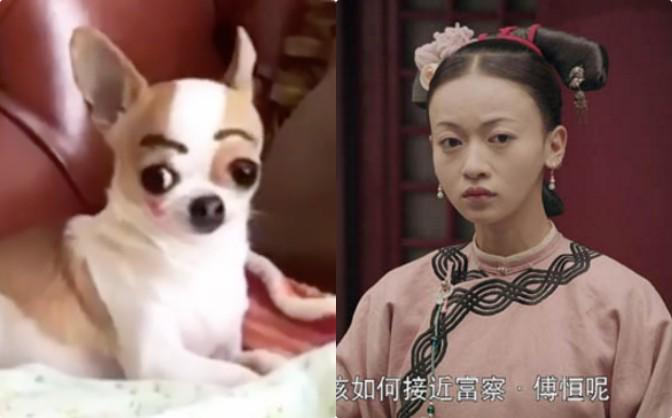 Ngôi sao 24/7: Bất ngờ trước diện mạo amp;#34;trổ giòamp;#34; của con gái Angelina Jolie sau tin muốn chuyển giới - 8