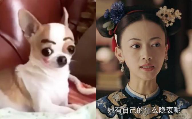 Ngôi sao 24/7: Bất ngờ trước diện mạo amp;#34;trổ giòamp;#34; của con gái Angelina Jolie sau tin muốn chuyển giới - 9