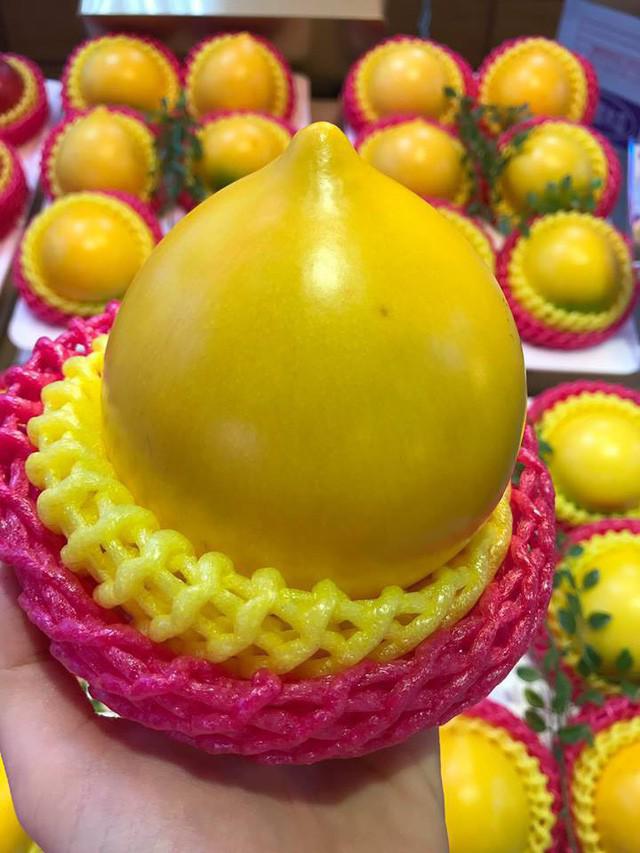 vu sua dai loan vang ong, to gap doi vu sua viet, gia gan 1 trieu/kg - 2