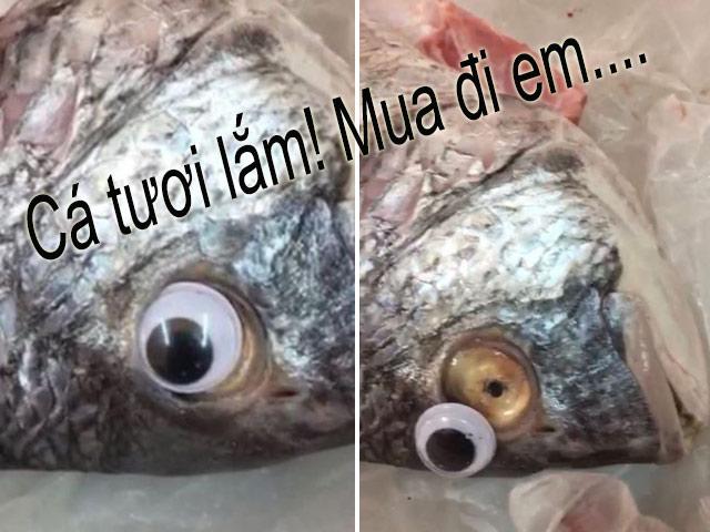 Tìm ra danh tính bà bán hàng có màn lừa bán cá ươn đỉnh cao khiến dân mạng hú hồn