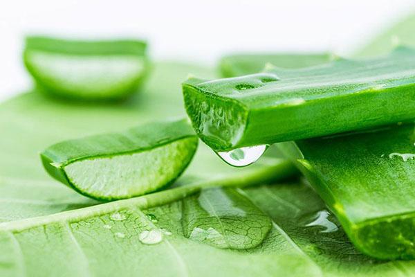 7 Cách trị mụn bọc ở mũi từ nguyên liệu thiên nhiên tại nhà - 8