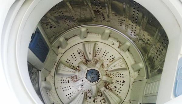 Máy giặt không vệ sinh bẩn hơn bồn cầu 530 lần: Đừng lơ là kẻo sinh bệnh hại thân! - 2