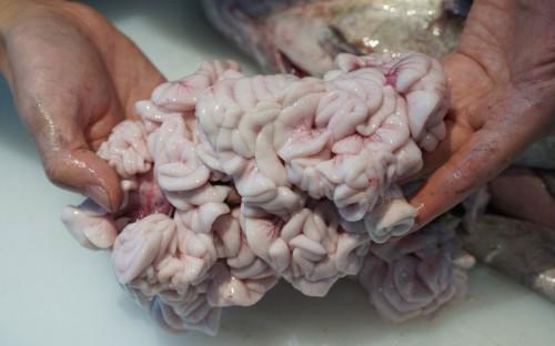 Nhà giàu Việt “phát sốt” vì tinh hoàn cá Nhật Bản, giá vài triệu đồng/kg vẫn lùng mua - 2