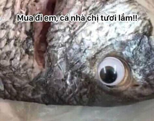 Tìm ra danh tính bà bán hàng có màn lừa bán cá ươn đỉnh cao khiến dân mạng amp;#34;hú hồnamp;#34; - 1