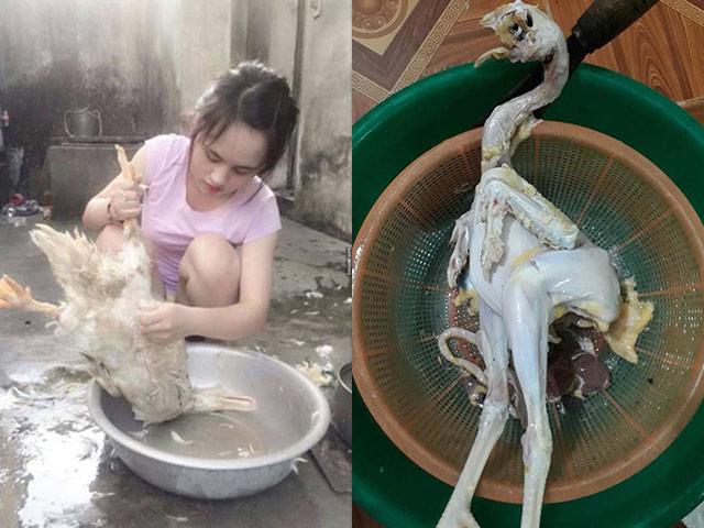 Bố chồng ghét da gà, nàng dâu liền chiều hết lòng, dân tình khen khéo Sau đến chỉ ngồi chơi