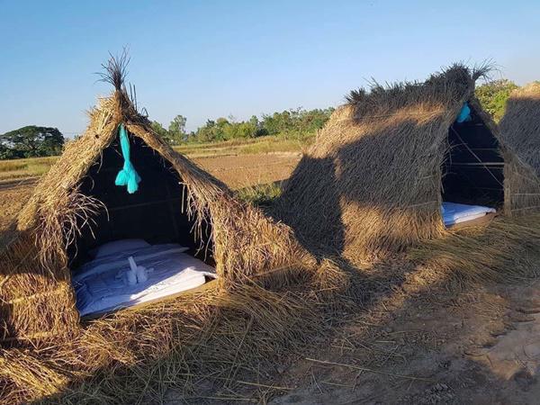 cuoi ngat voi khach san “uyen uong” nam giua canh dong lua khong danh cho nguoi nghien thuoc la - 2