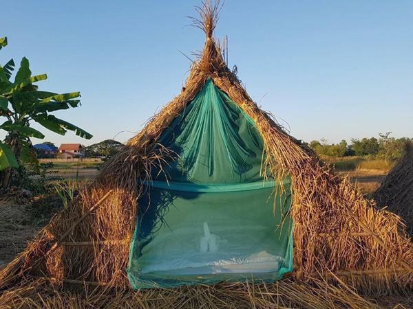 cuoi ngat voi khach san “uyen uong” nam giua canh dong lua khong danh cho nguoi nghien thuoc la - 3