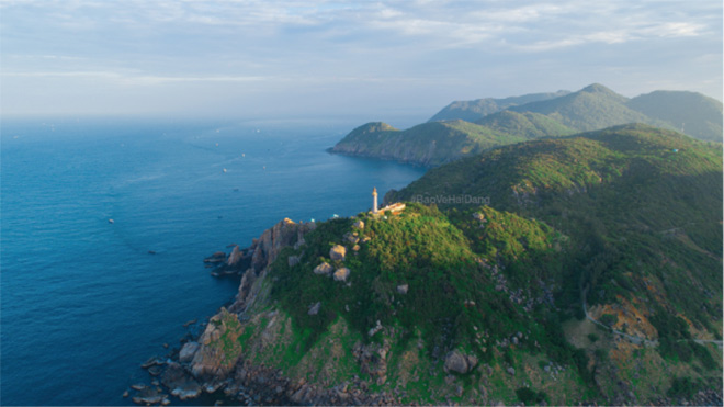 Phú Yên đâu chỉ có hoa vàng trên cỏ xanh - 1